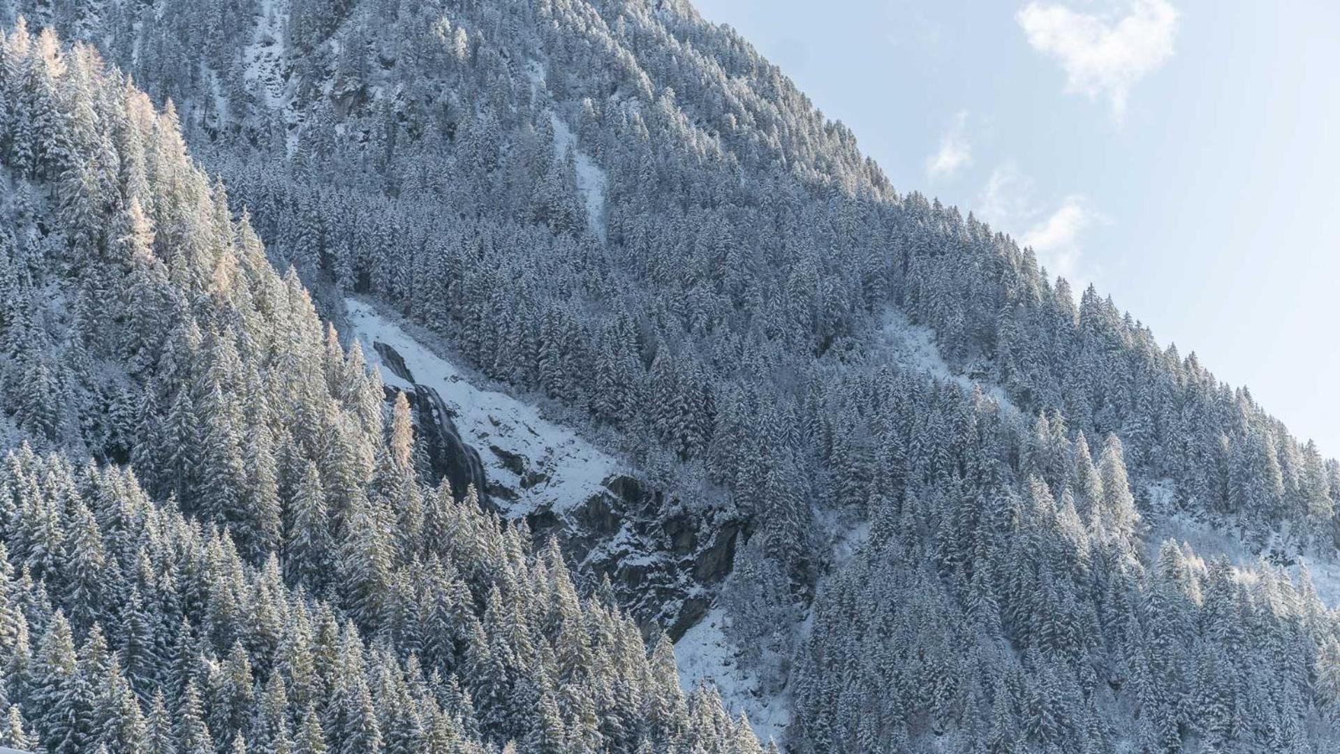 Haus Gleinser - * Neustift im Stubaital